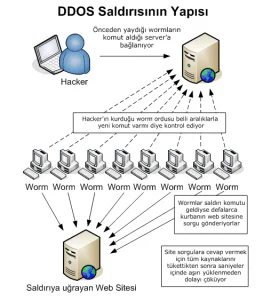ddos